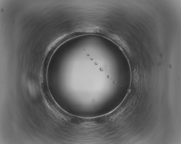 X0000086340536200703301258