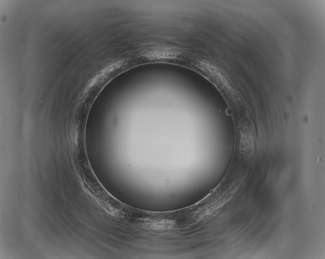 X0000086340539200703301258