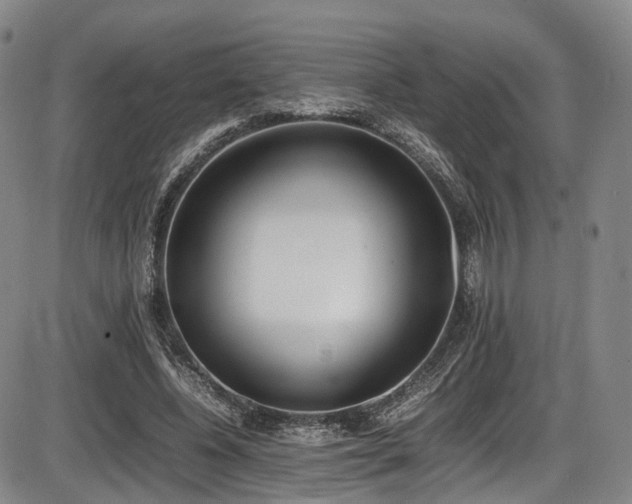 X0000086340540200703301258