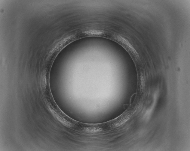 X0000086340541200703301258
