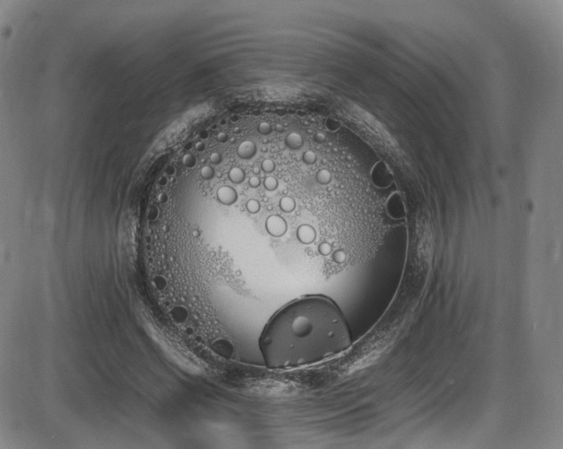 X0000086340542200703301258