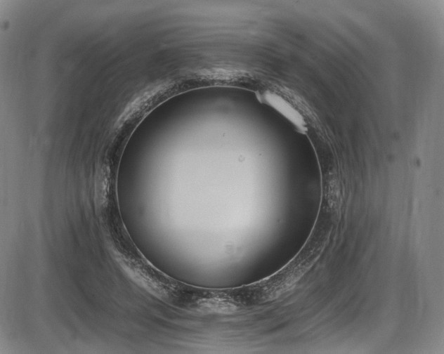 X0000086340544200703301258
