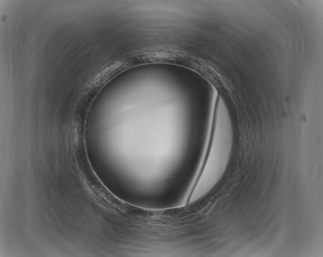 X0000086340546200703301258