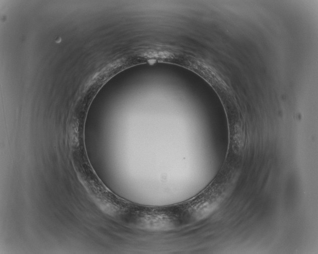 X0000086340547200703301258