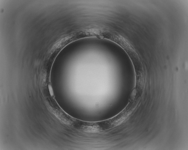 X0000086340548200703301258