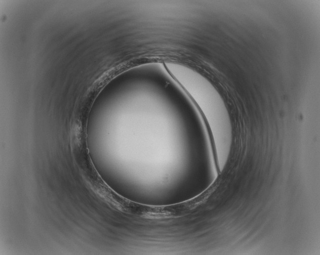 X0000086340556200703301258