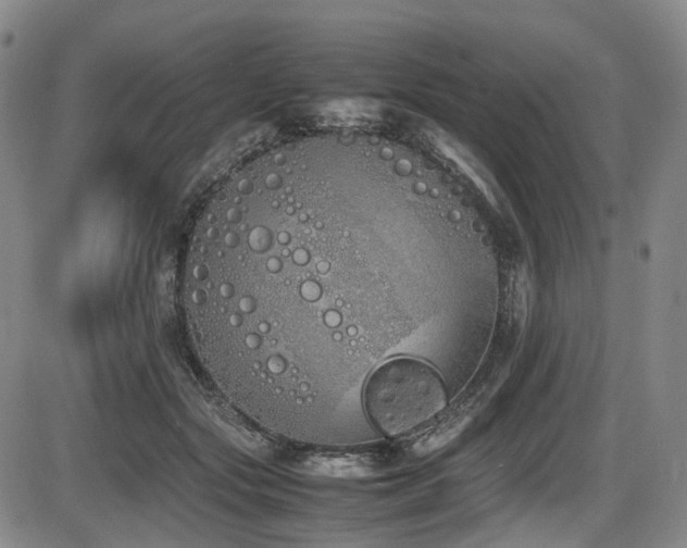 X0000086340557200703301258