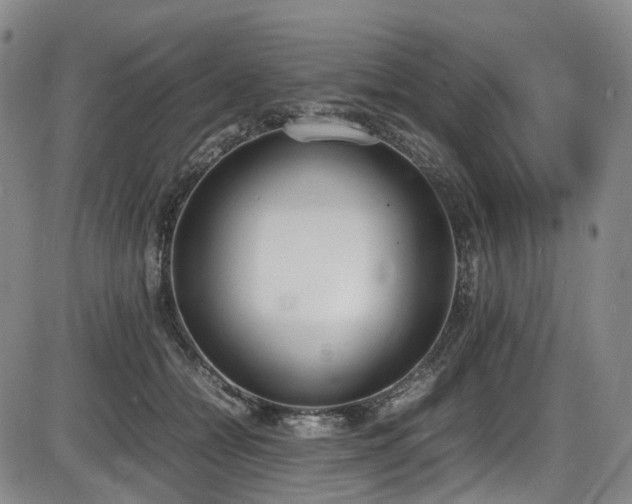 X0000086340558200703301258