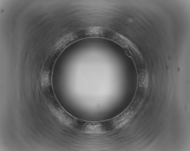 X0000086340560200703301258