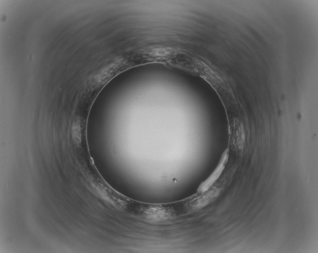 X0000086340562200703301258