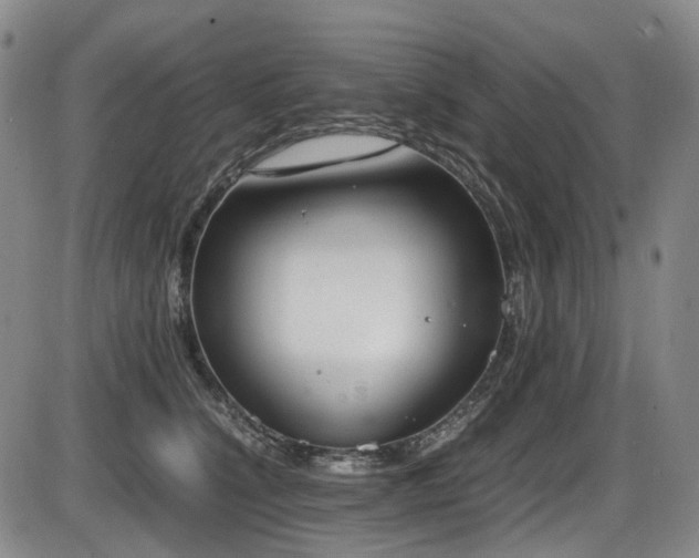 X0000086340564200703301258