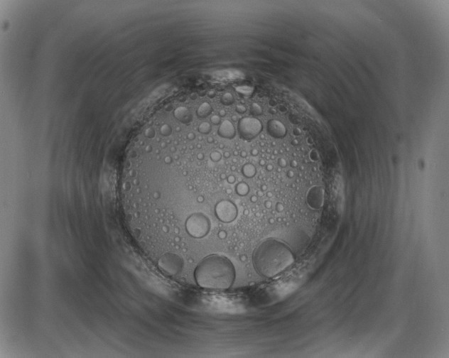 X0000086340565200703301258