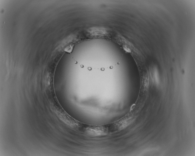 X0000086340567200703301258