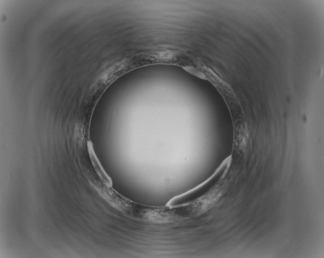 X0000086340568200703301258