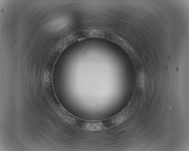 X0000086340571200703301258