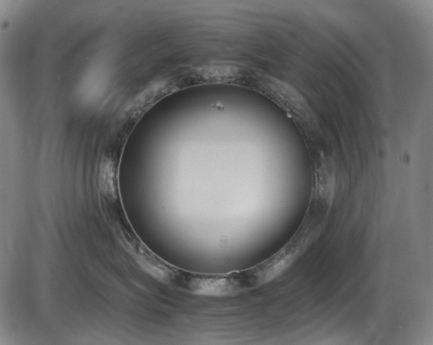X0000086340575200703301259