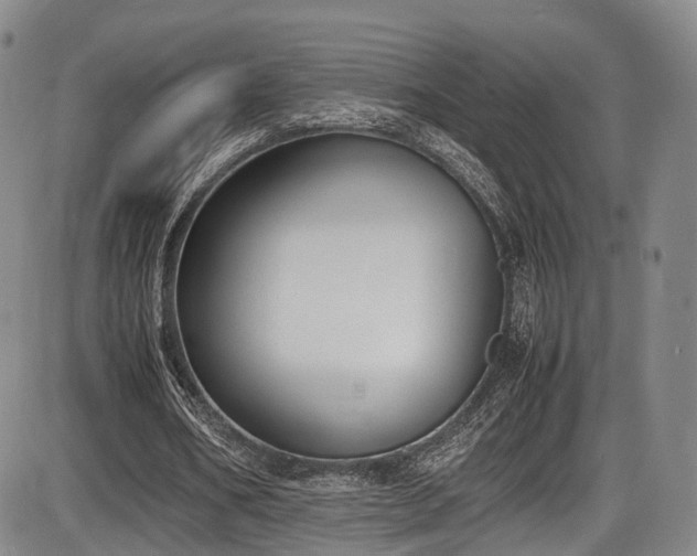 X0000086340578200703301258