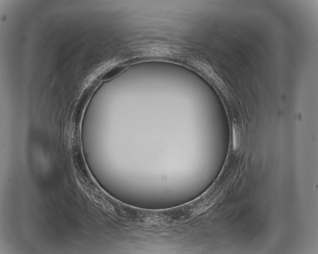 X0000086340579200703301258