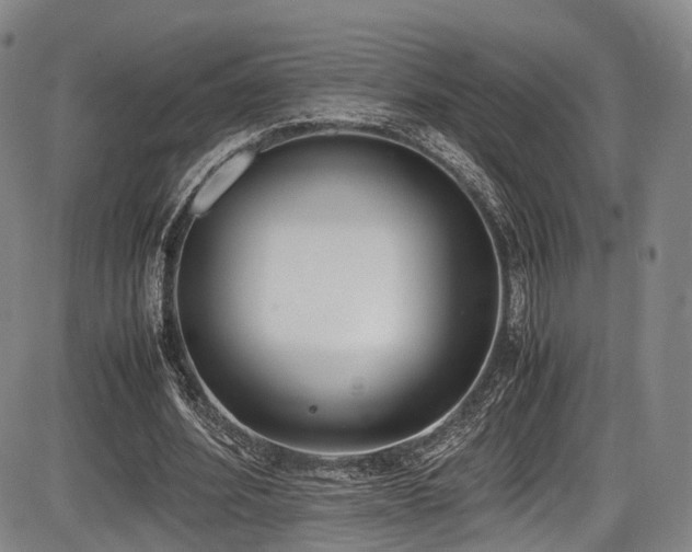 X0000086340580200703301258