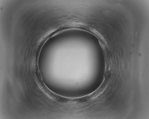 X0000086340581200703301258