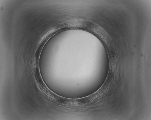 X0000086340583200703301258