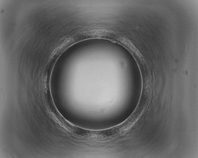 X0000086340585200703301258