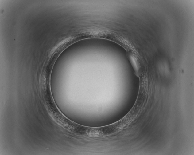 X0000086340587200703301258