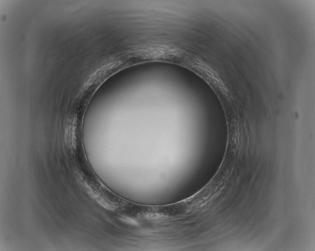 X0000086340590200703301258