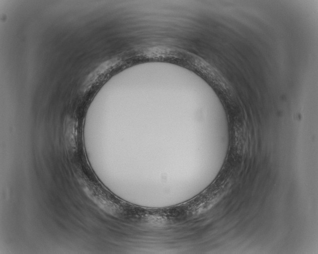 X0000086340592200703301258
