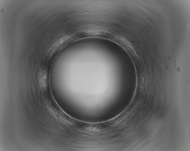 X0000086340596200703301257