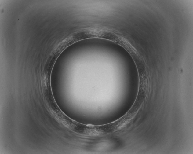 X0000086340597200703301257