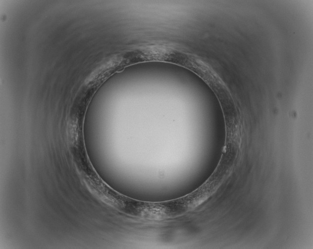 X0000086340599200703301257