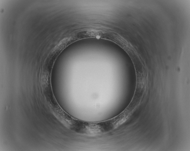 X0000086340603200703301257