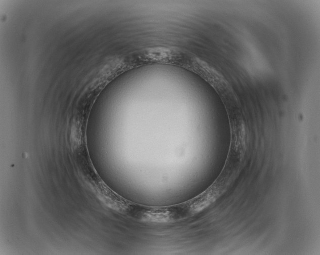 X0000086340606200703301257