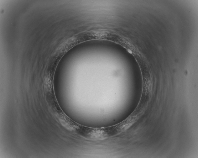 X0000086340609200703301257