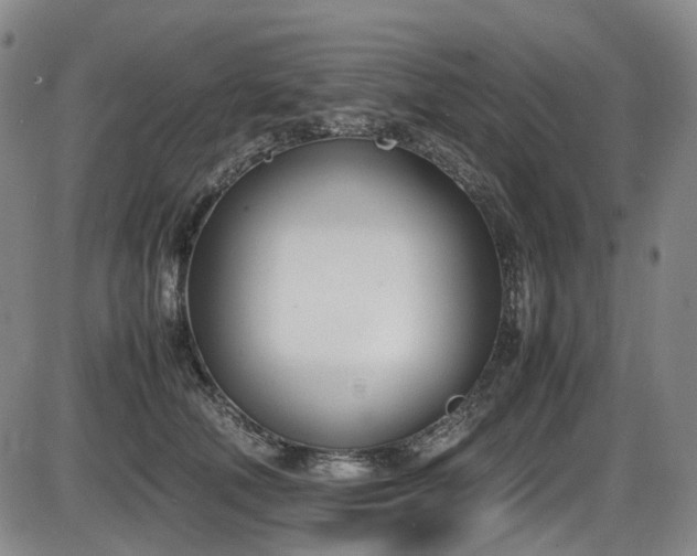 X0000086340610200703301257