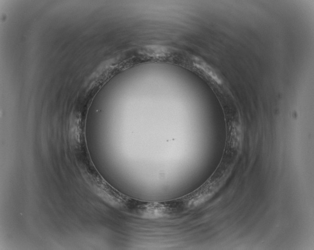 X0000086340612200703301257