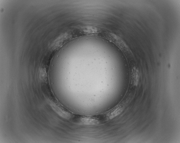 X0000086340614200703301257