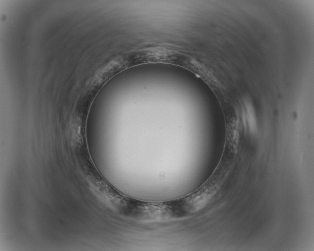 X0000086340615200703301257