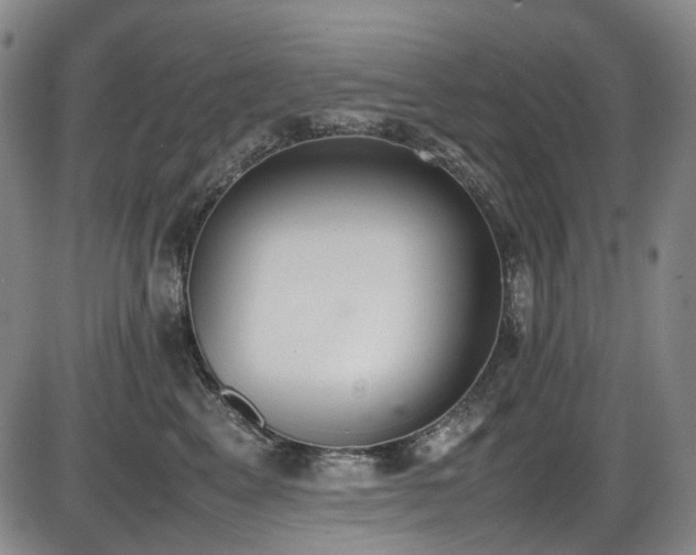 X0000086340617200703301257