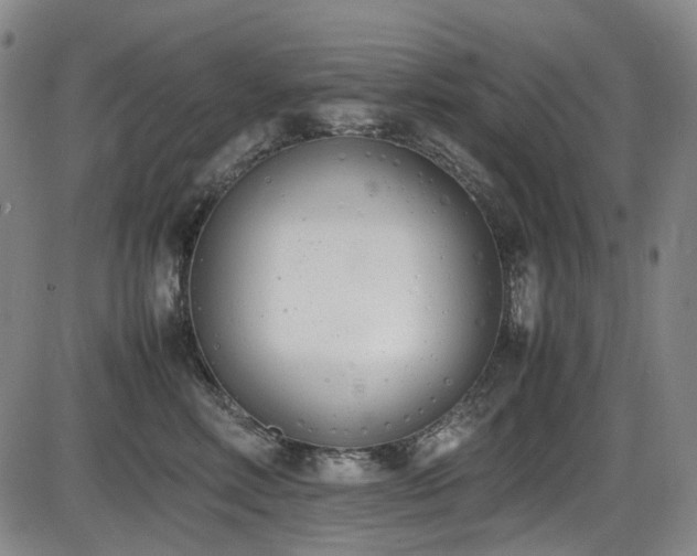 X0000086340618200703301257