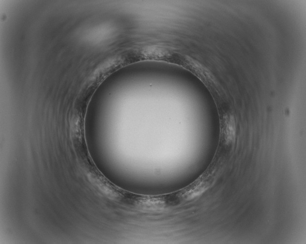X0000086340619200703301257