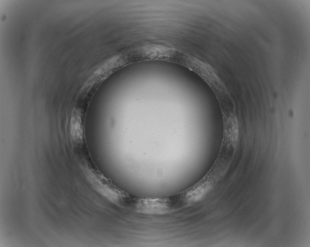 X0000086340622200703301257