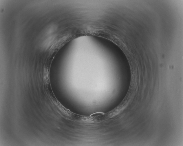 X0000086340624200703301257