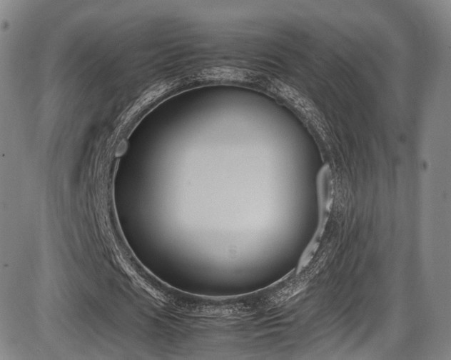 X0000086340625200703301256