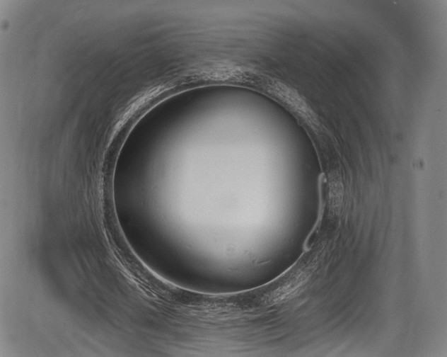 X0000086340626200703301256