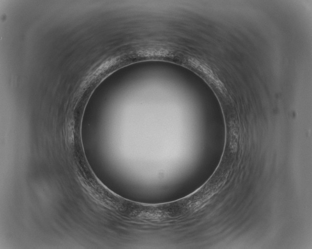 X0000086340631200703301256