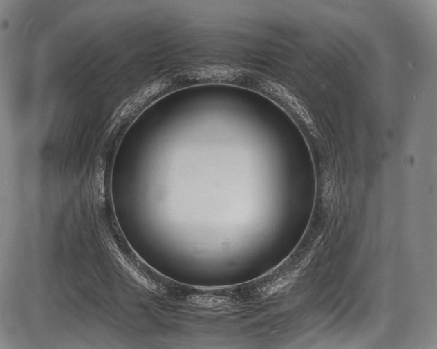 X0000086340633200703301256