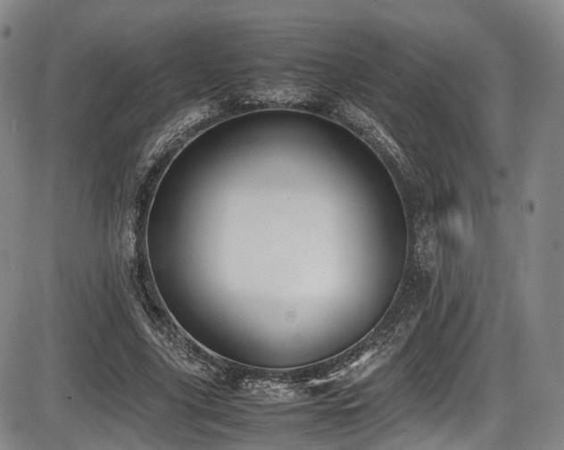 X0000086340635200703301256