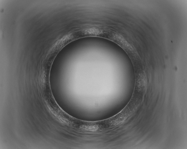 X0000086340639200703301256